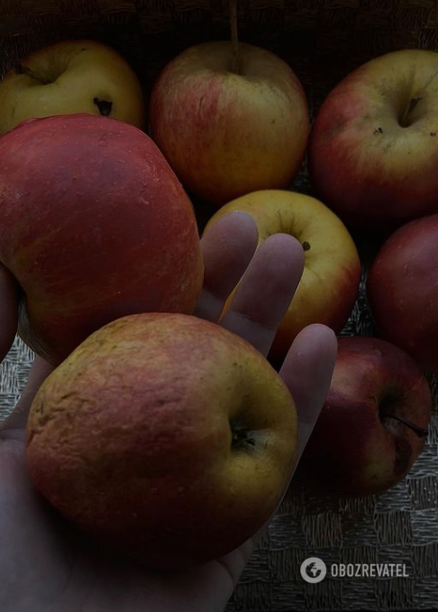 Three Glasses'' Pie with apples: easier than a charlotte