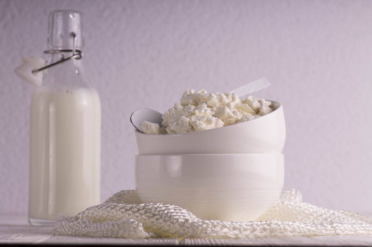 Homemade cottage cheese for lazy dumplings