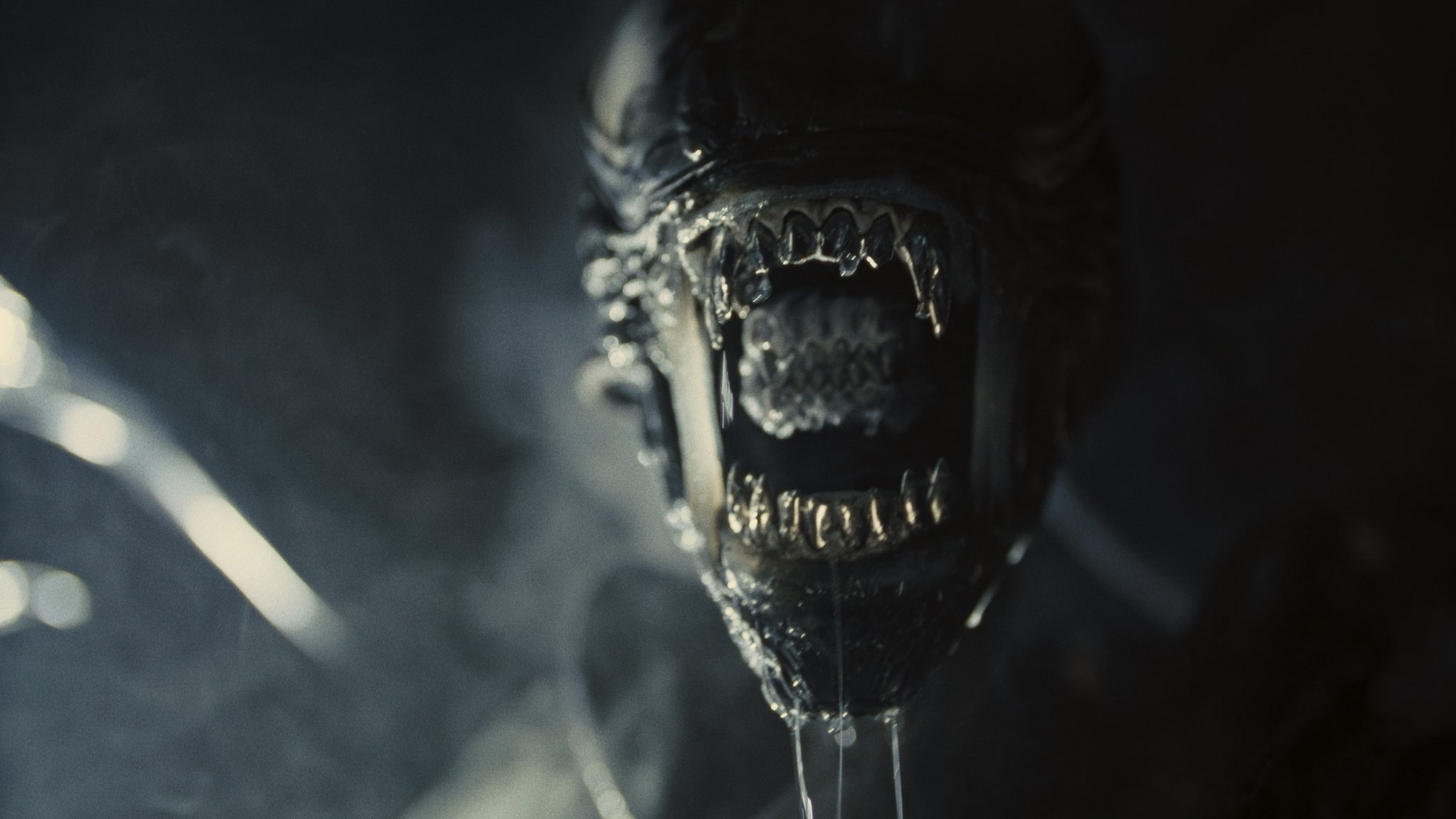 Alien: Romulus. First viewers amazed by the bloody return of the cult space horror franchise