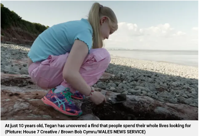 A ten-year-old girl discovered 200 million-year-old dinosaur tracks while playing on the beach. Photo