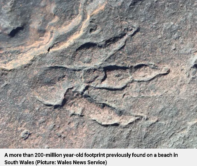 A ten-year-old girl discovered 200 million-year-old dinosaur tracks while playing on the beach. Photo