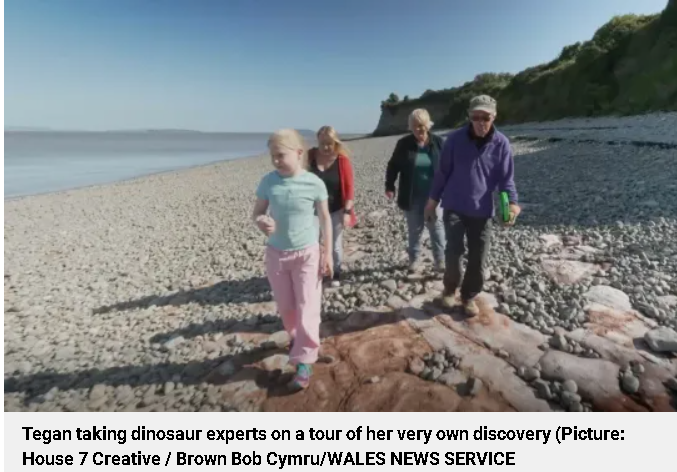 A ten-year-old girl discovered 200 million-year-old dinosaur tracks while playing on the beach. Photo