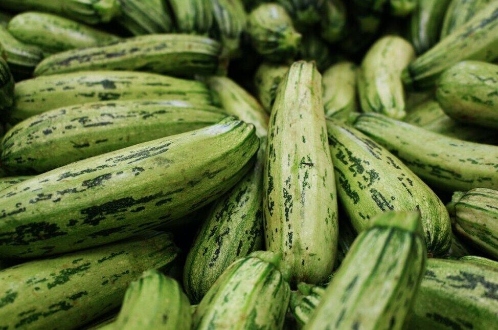 How to freeze zucchini for the winter