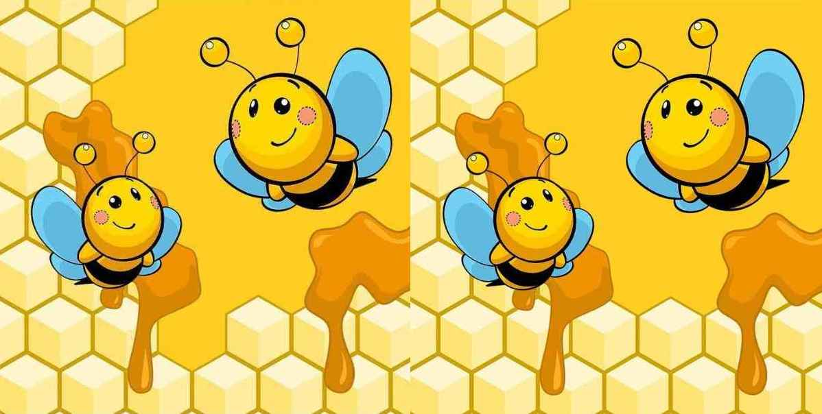 Find all the differences: fun puzzle with bees