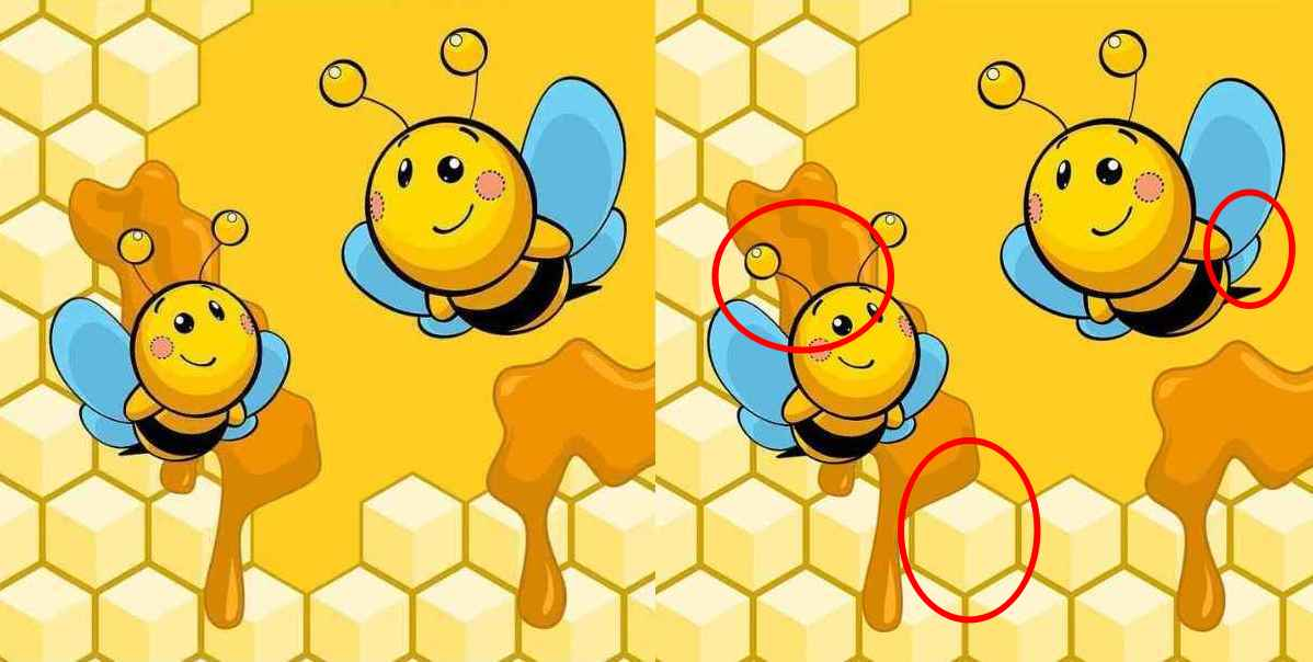 Find all the differences: fun puzzle with bees