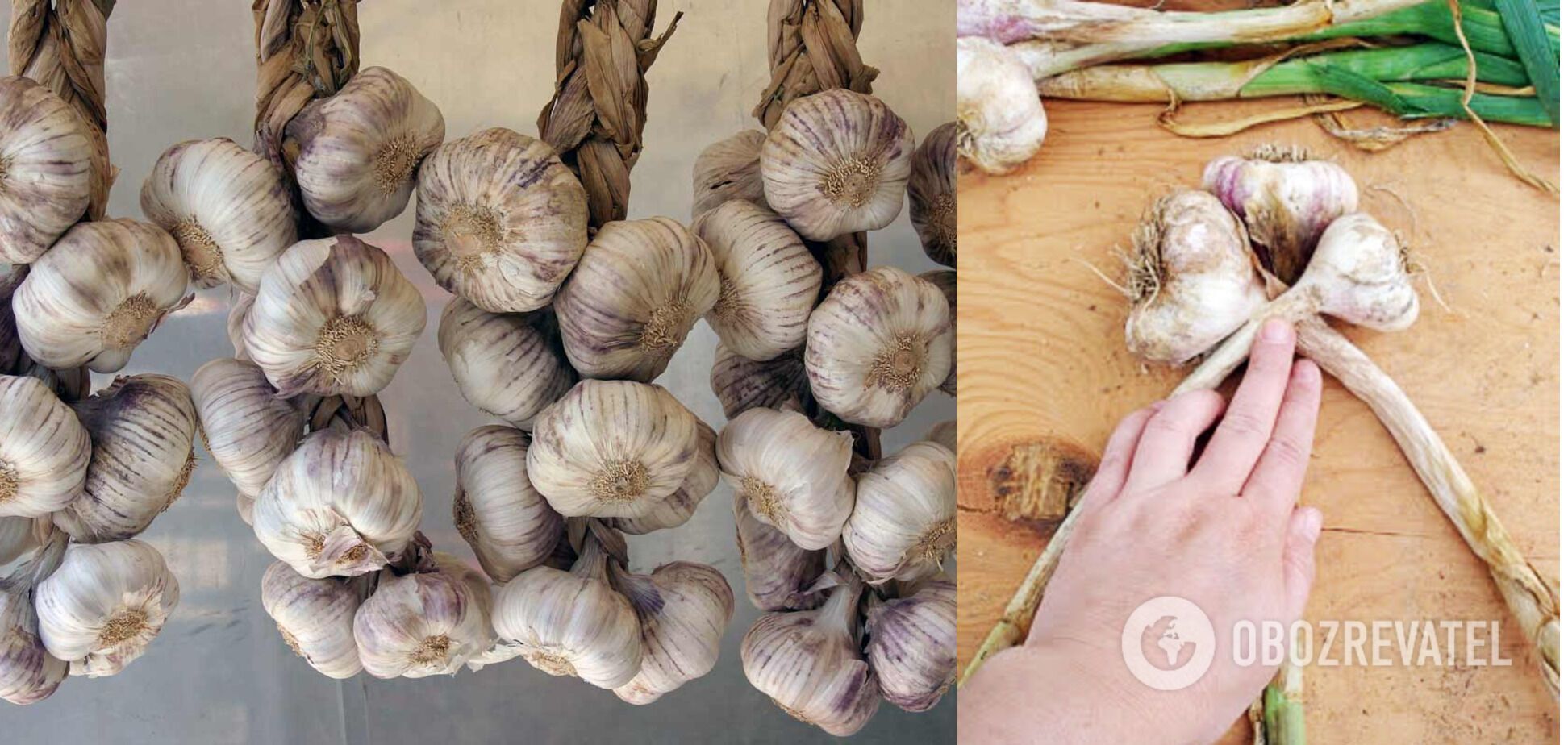 Storage of garlic braided in braids