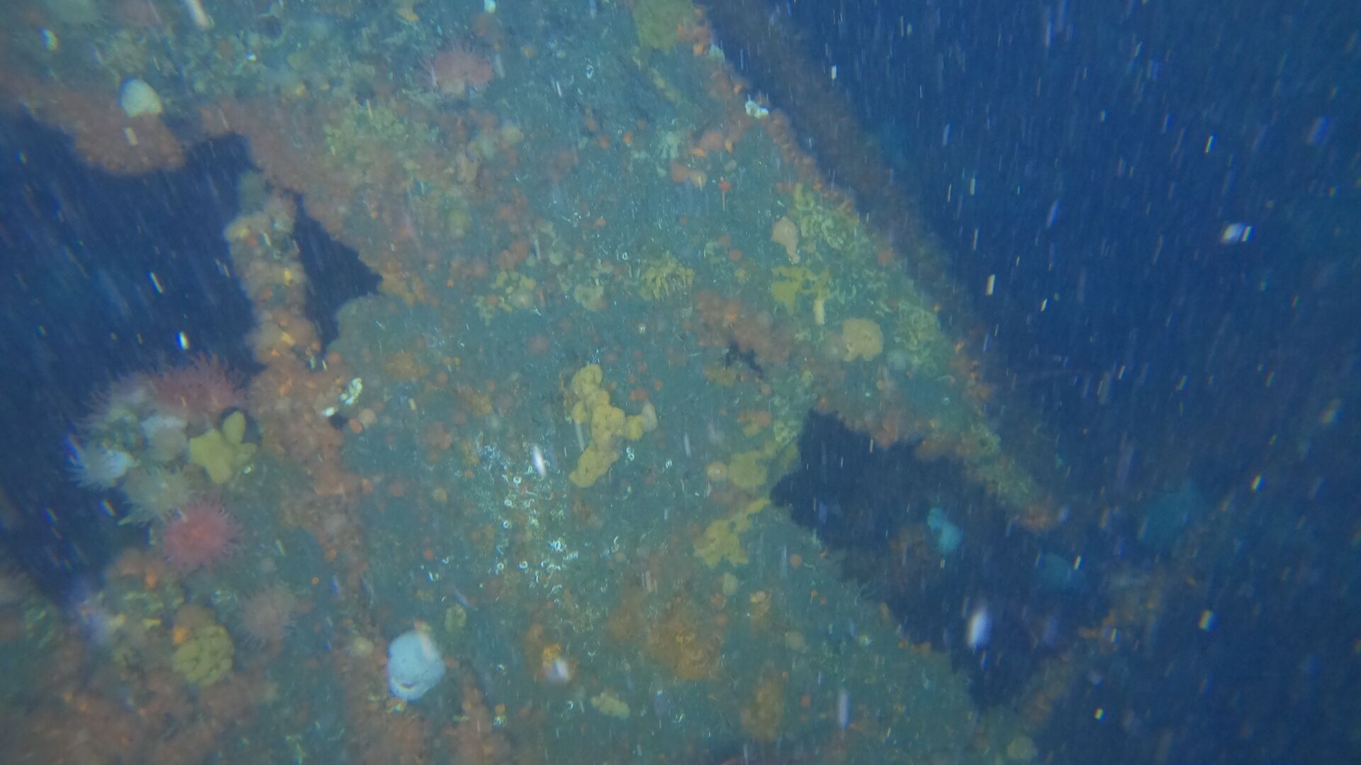 World War II sunken ships found off Alaska: they took part in a ''forgotten battle''