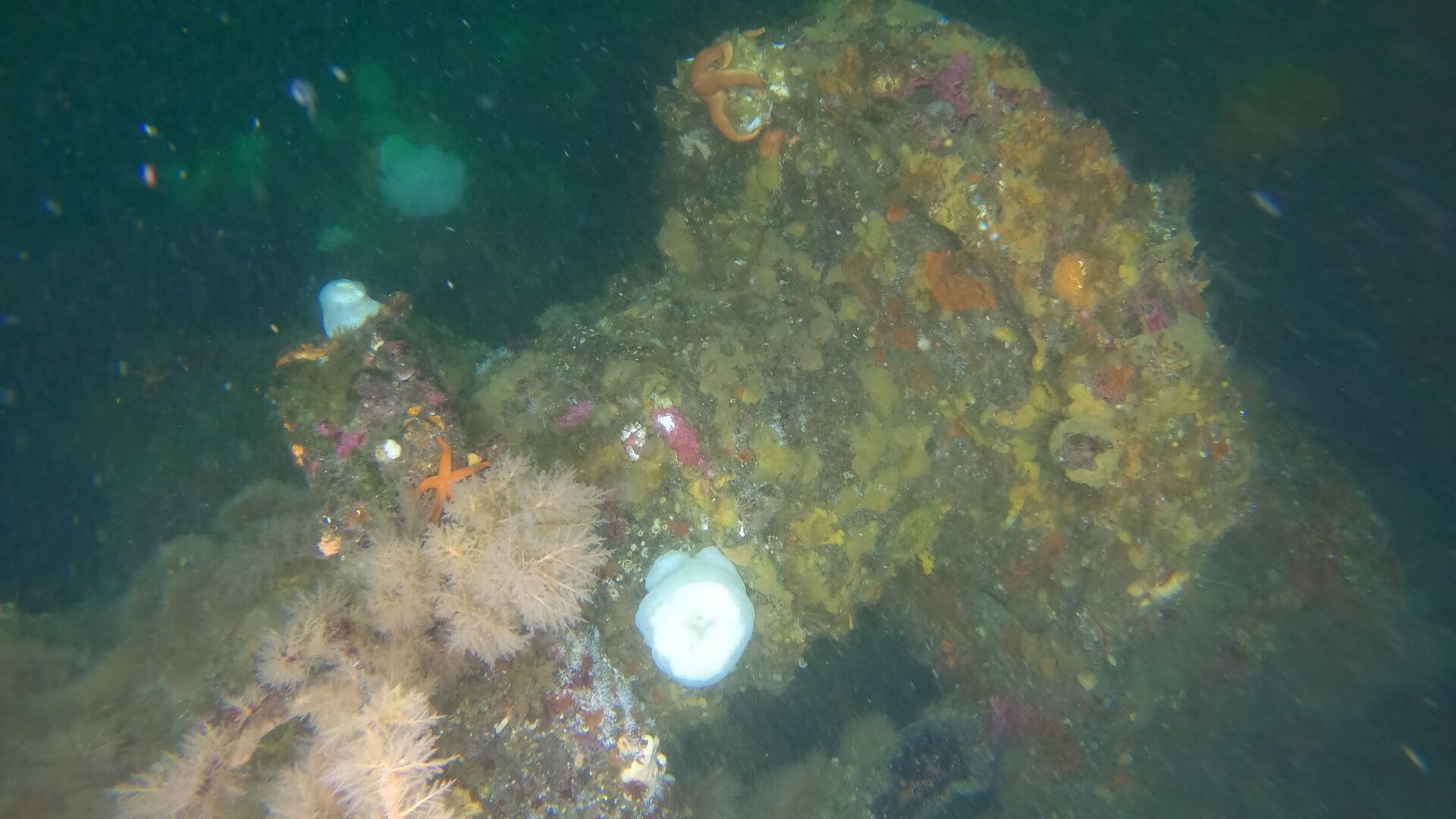 World War II sunken ships found off Alaska: they took part in a ''forgotten battle''