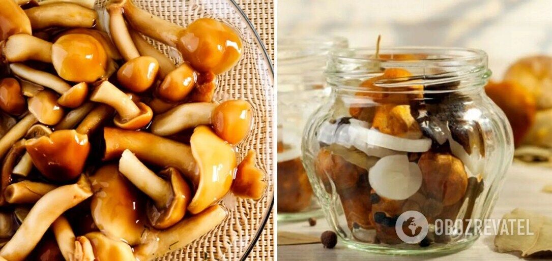 How to pickle buttercup mushrooms for the winter.