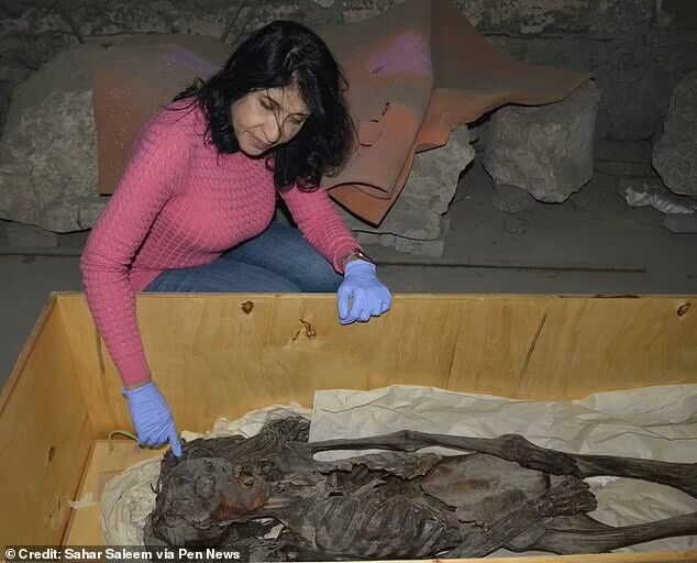 Scientists reconstructed the face of the ancient Egyptian ''screaming mummy'': woman died in agony 3500 years ago