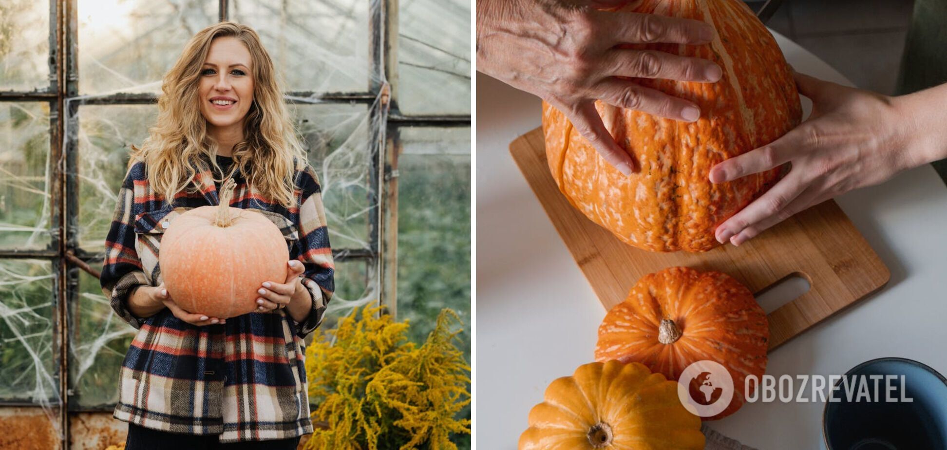 Various types of pumpkin for cooking