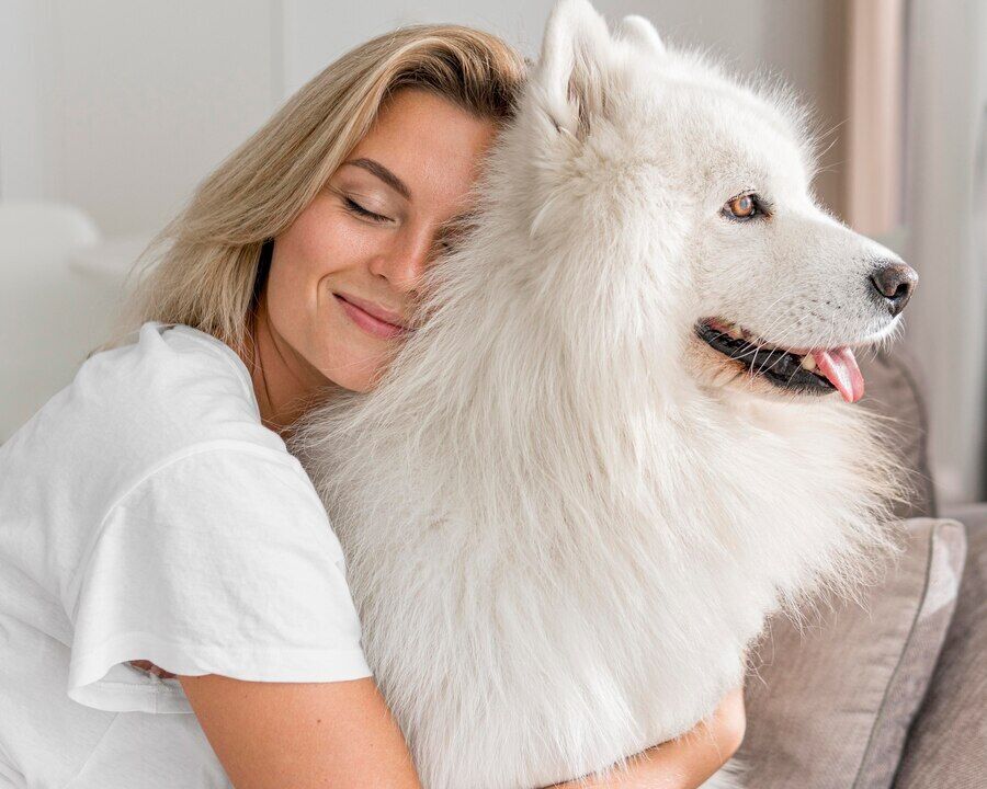 Why dogs resemble their owners: research results