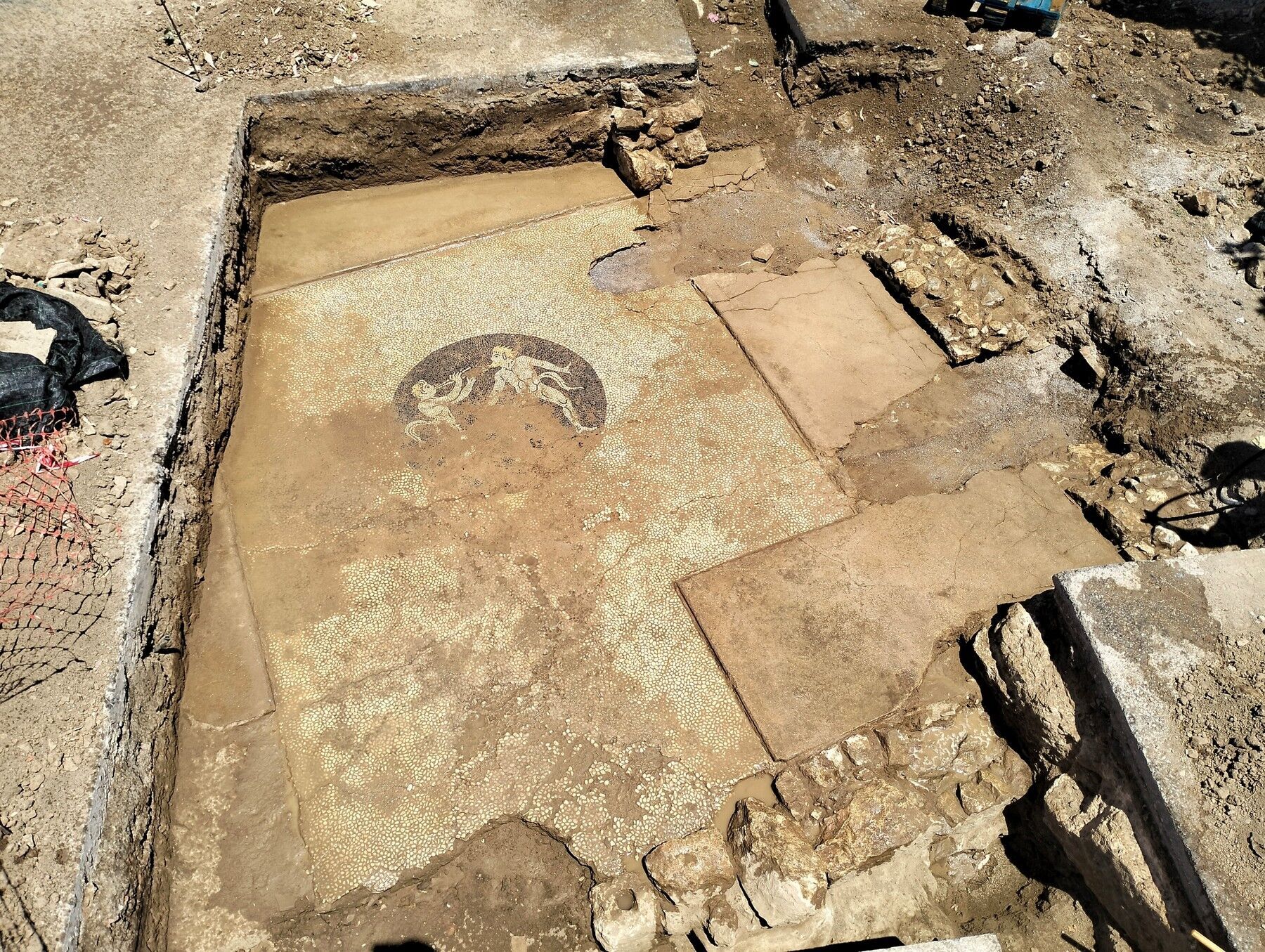 An ancient Greek mosaic depicting two nude men with tails has been unearthed in Greece. Photo