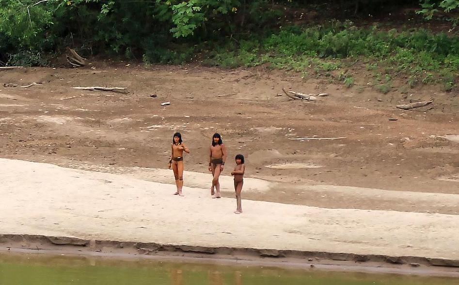 One of the world's most isolated tribes, who first emerged from the Amazon rainforest, attacked loggers