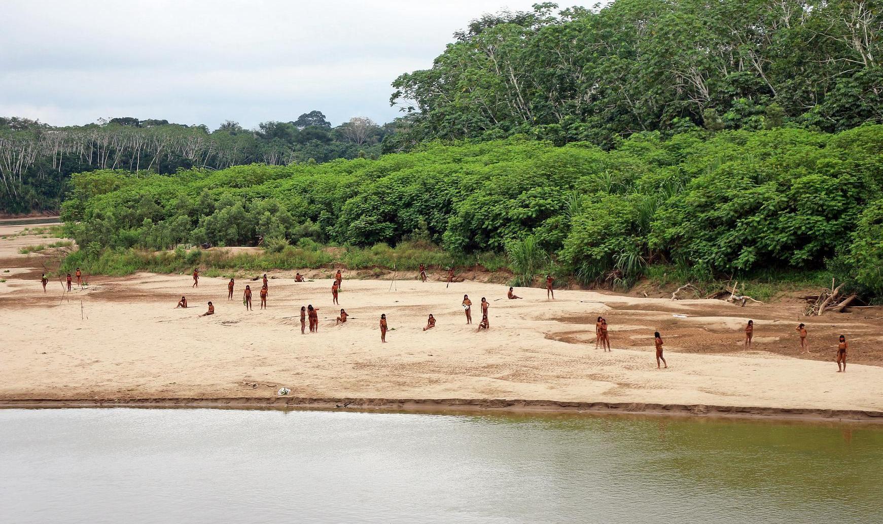 One of the world's most isolated tribes, who first emerged from the Amazon rainforest, attacked loggers