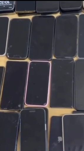 A man stole 121 phones during a music festival in Switzerland