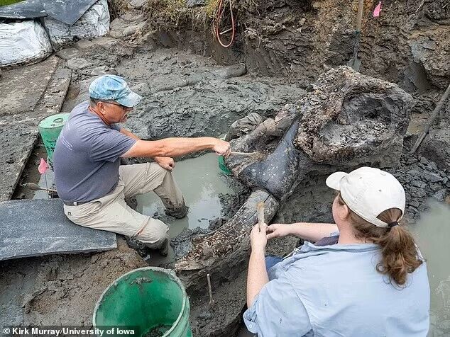 The remains of a giant creature that roamed the Earth along with the first humans, found in the United States. Photo