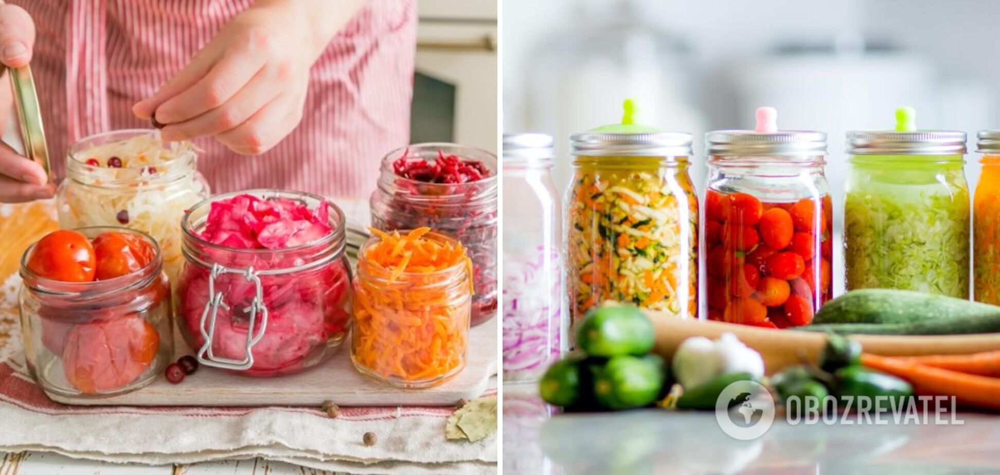 Variety of fermented vegetables