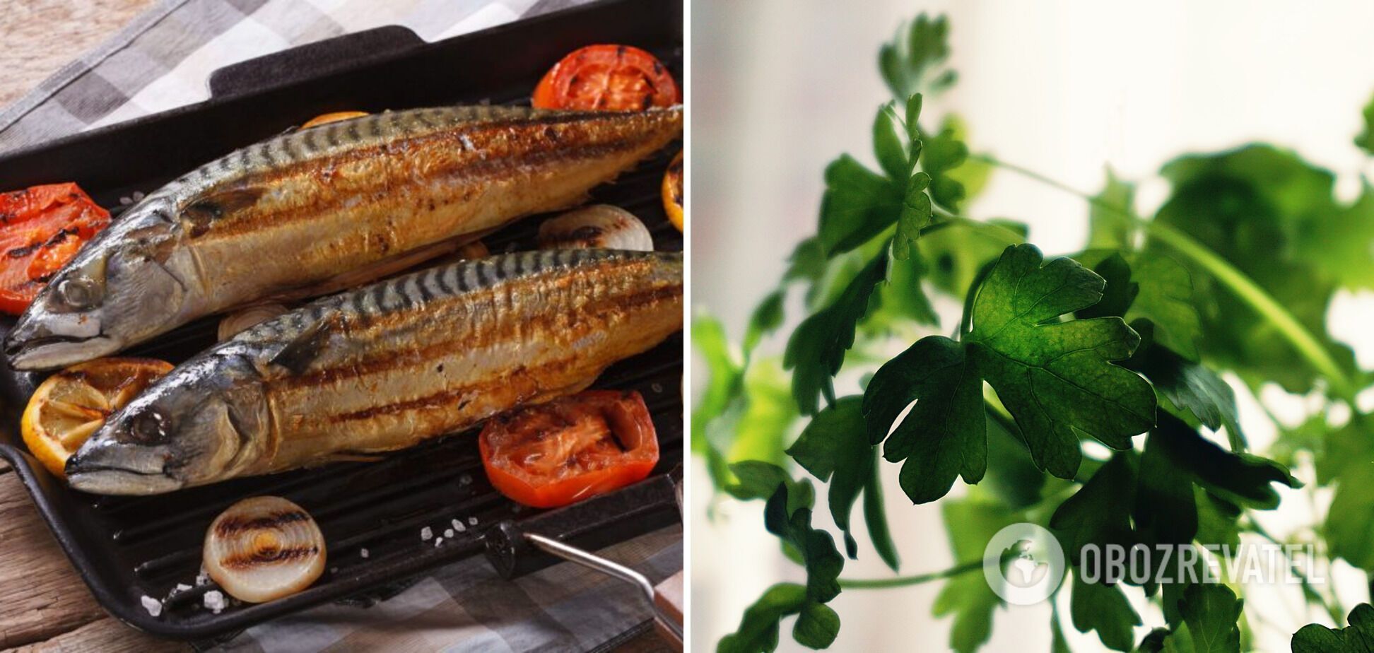 How to bake mackerel in tomato juice