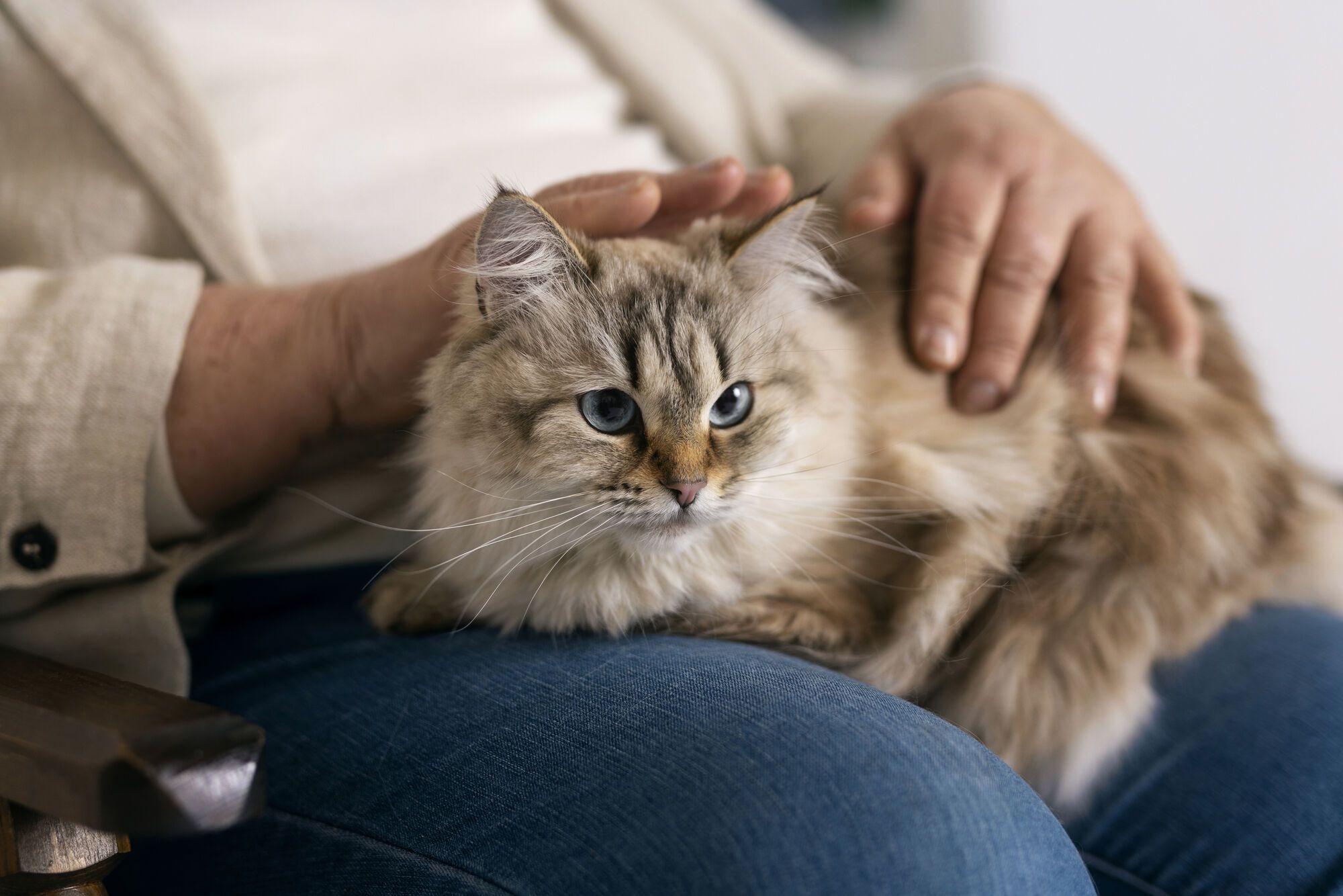 Cat and dog owners react differently to stress and have distinctive personality traits: study findings