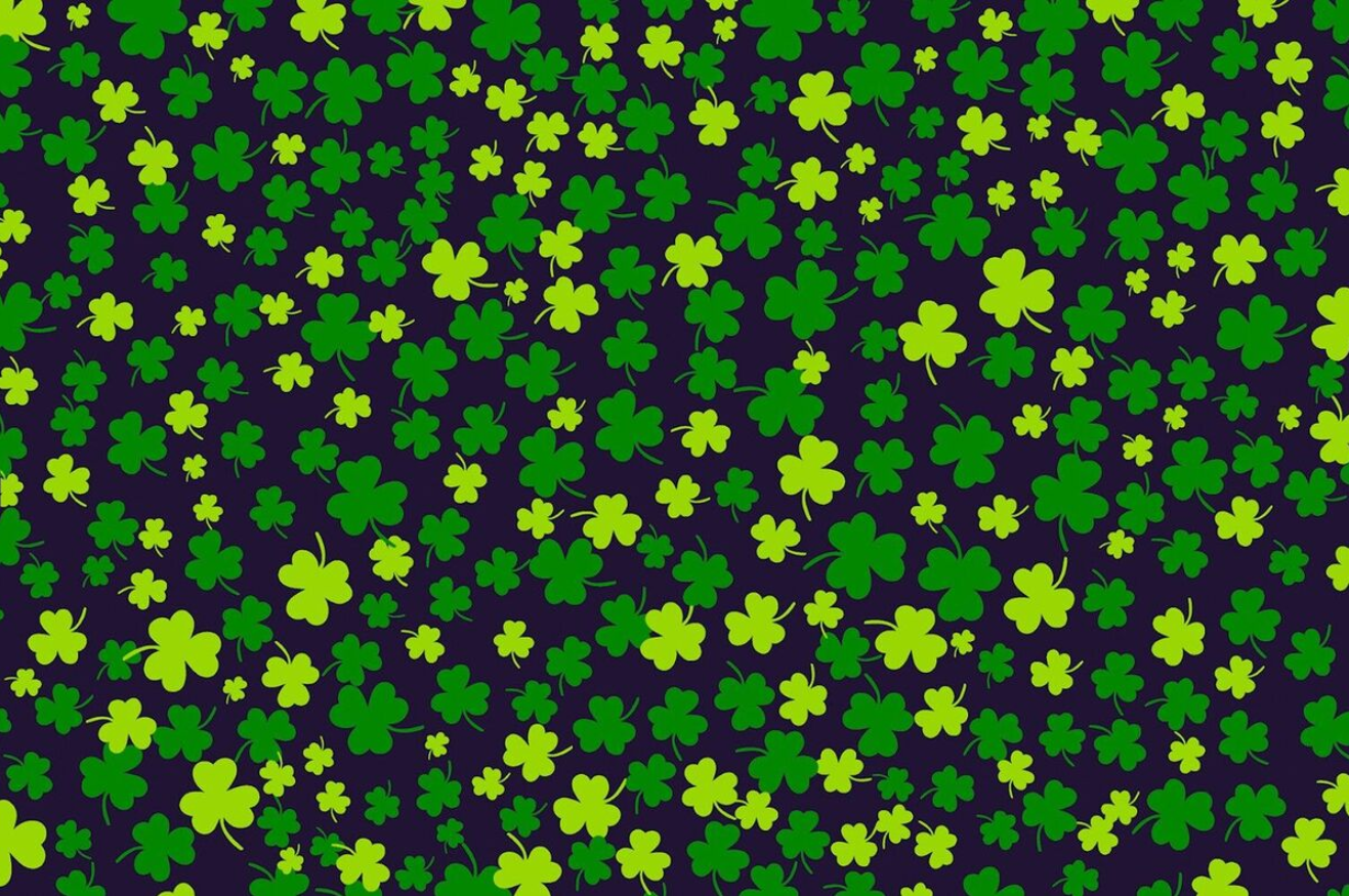 Find the lucky clover leaf: a fascinating puzzle for adults and children