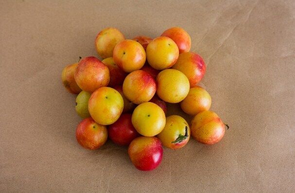 Cherry plum jelly for the winter.