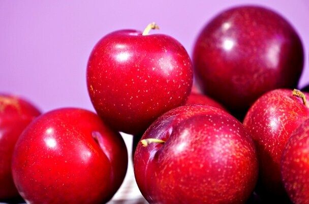 Thick cherry plum jam for the winter.