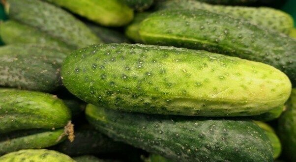 Quick cucumber appetizer.