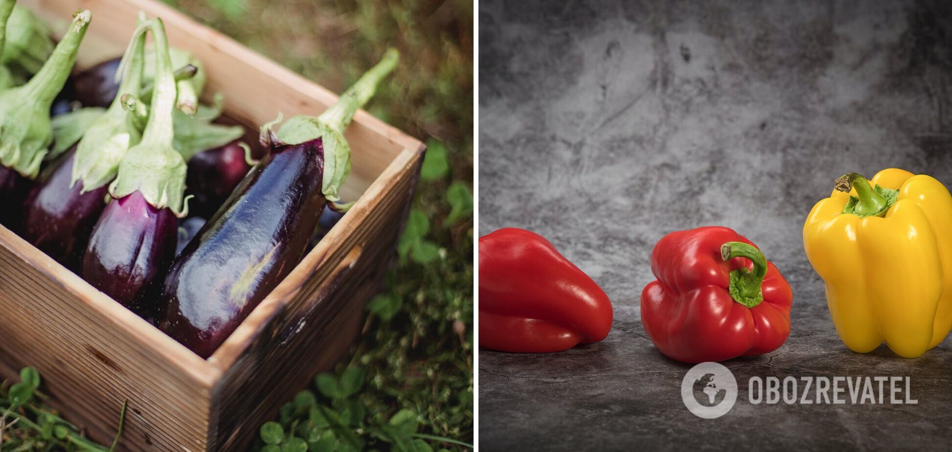 Vegetables that can be combined on a skewer - eggplant and peppers