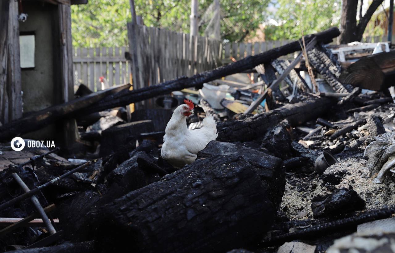 The owner had left home 5 minutes before: locals in Kyiv region clean up the yard after the drone crash. Exclusive photo report