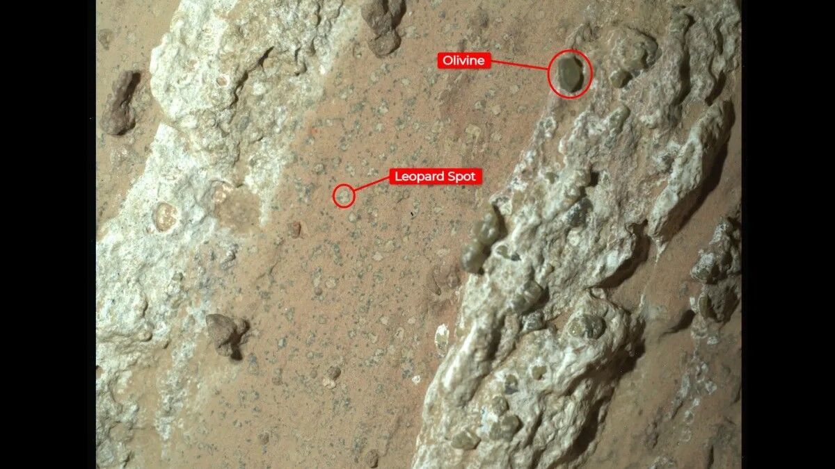 Possible signs of ancient life have been found on Mars. Photo