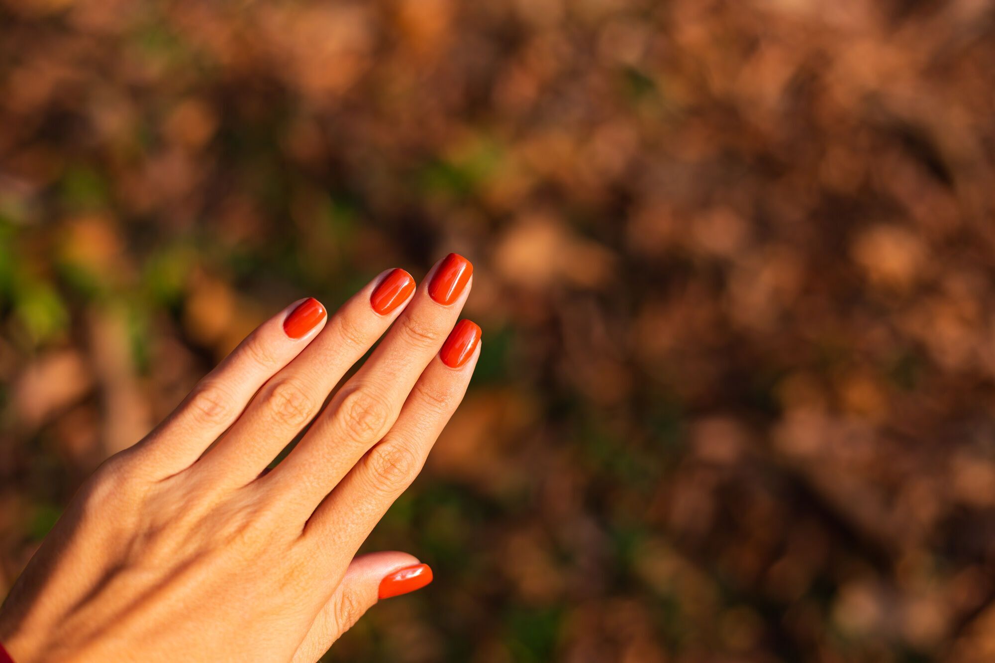 Named the most fashionable manicure colors of autumn 2024: design ideas