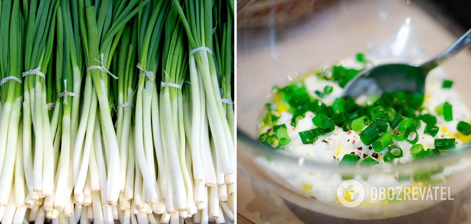 You can add green onions to the appetizer