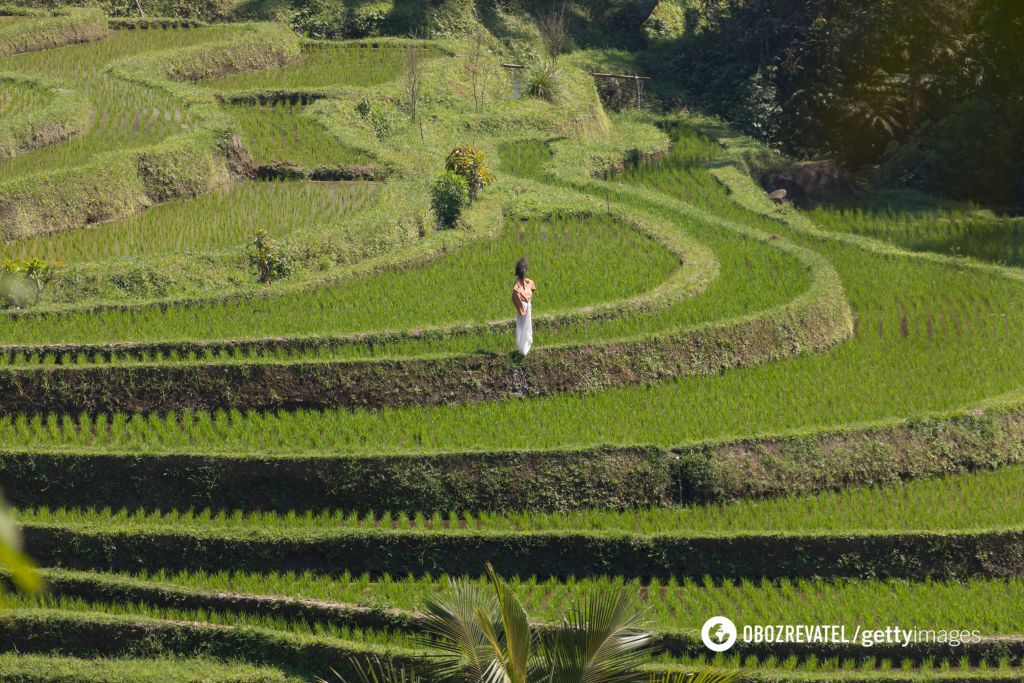 Dozens of UNESCO sites could be destroyed by 2050 due to climate change: which sites are most at risk