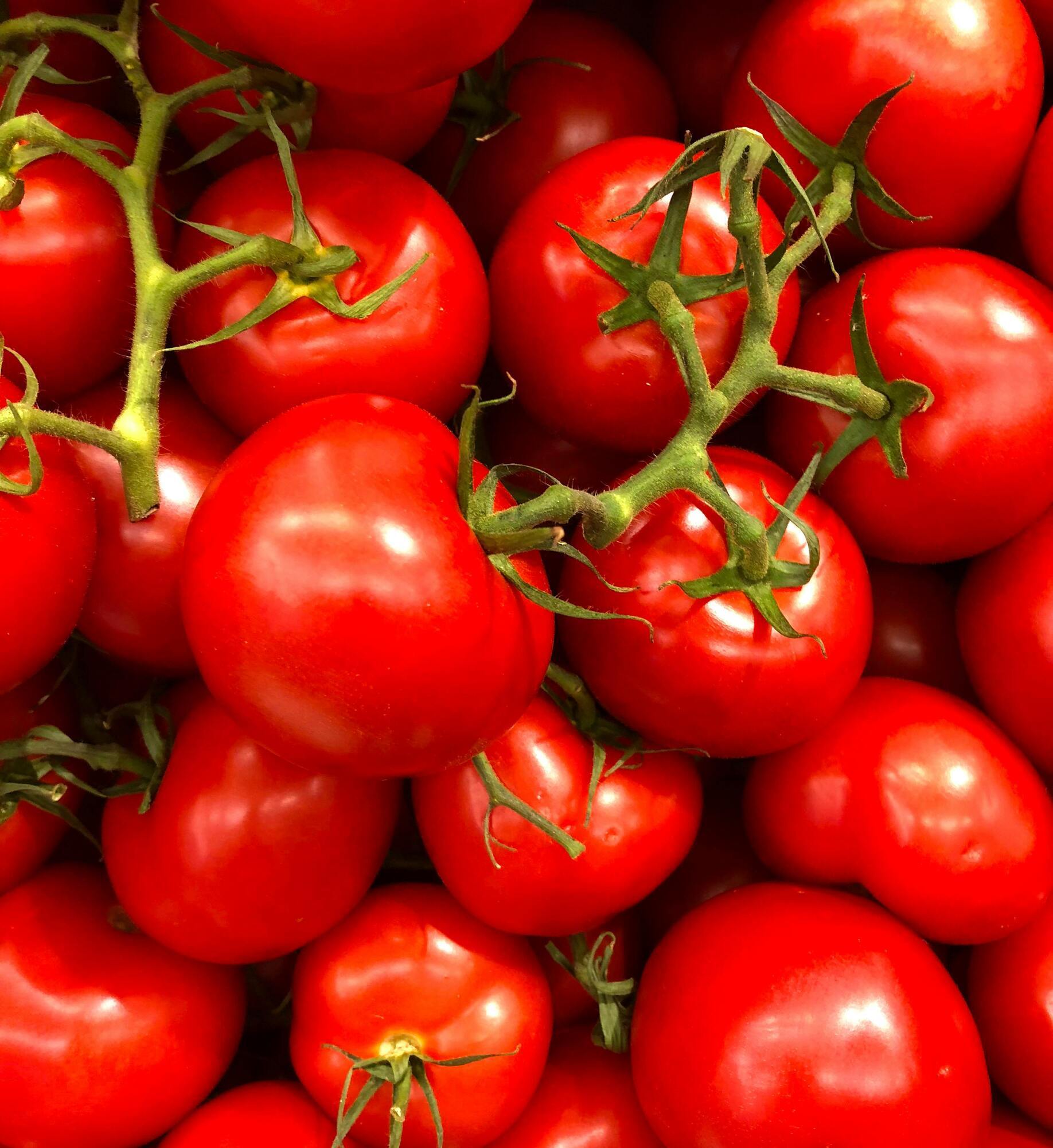 What not to do when canning tomatoes: the most common mistakes are named