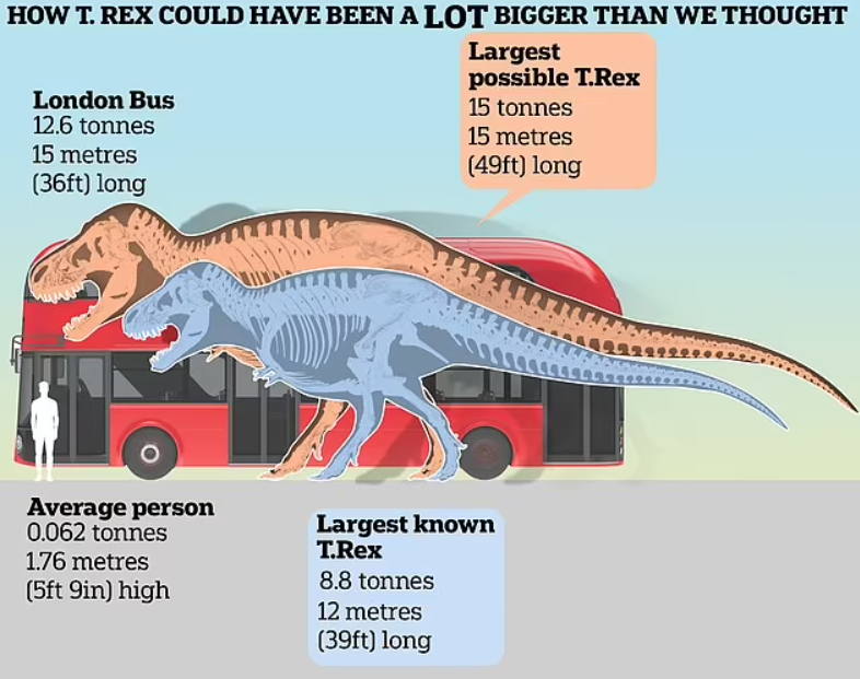 Tyrannosaurus rex weighed 15 tons! New research data on the ''king of dinosaurs'' revealed