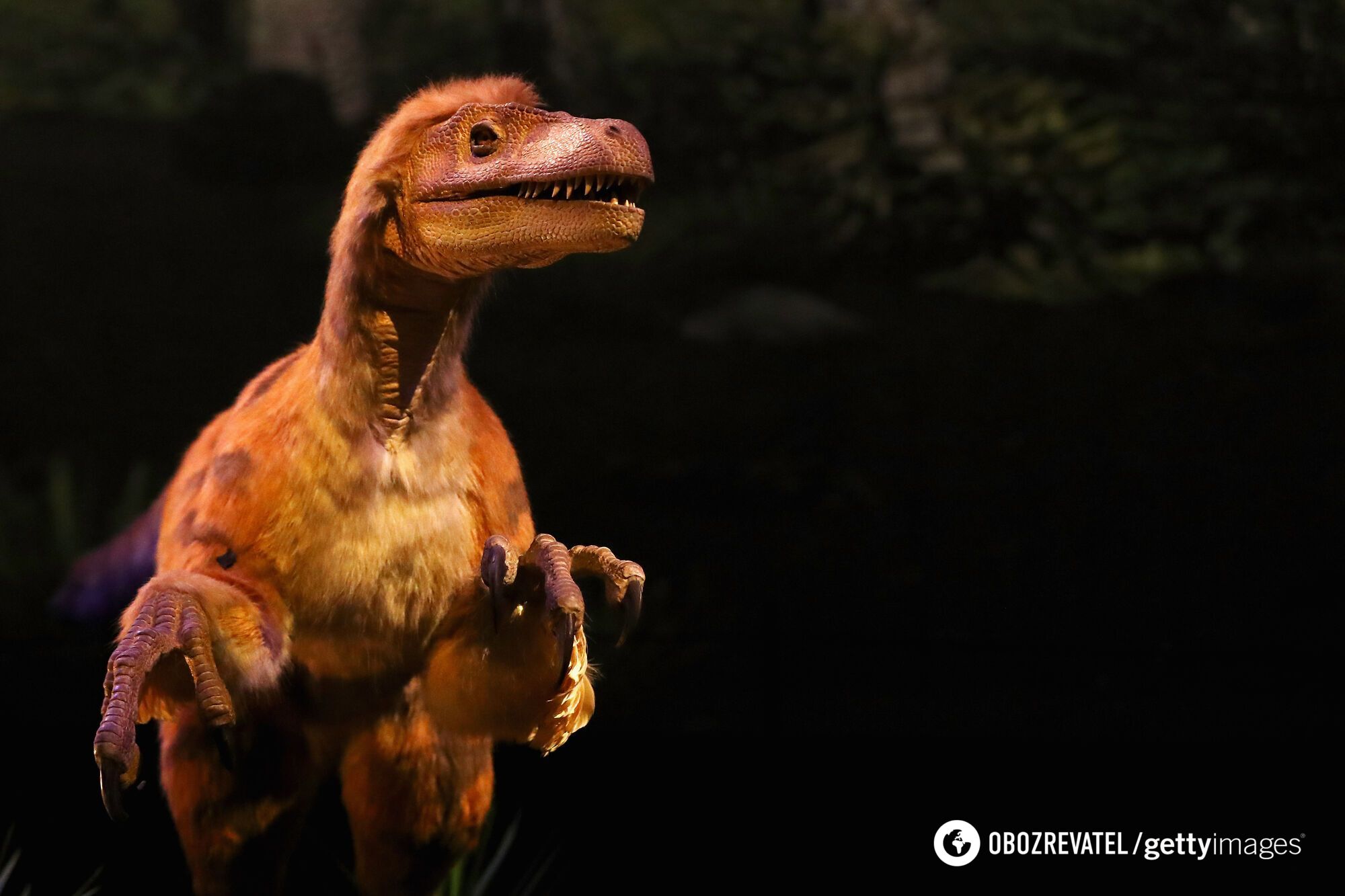 Tyrannosaurus rex weighed 15 tons! New research data on the ''king of dinosaurs'' revealed