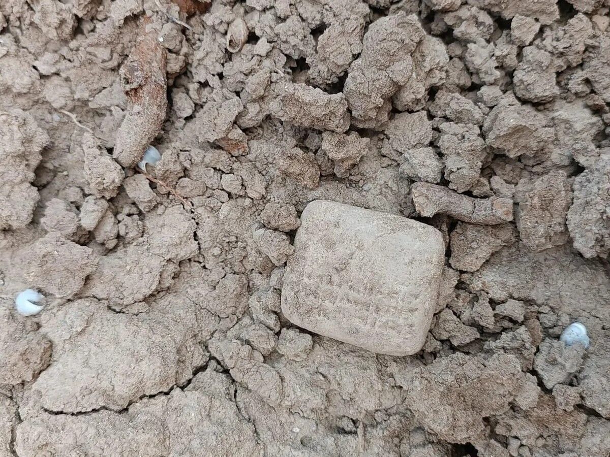 In Turkey, archaeologists found a 3500-year-old clay tablet, which turned out to be a shopping list. Photo