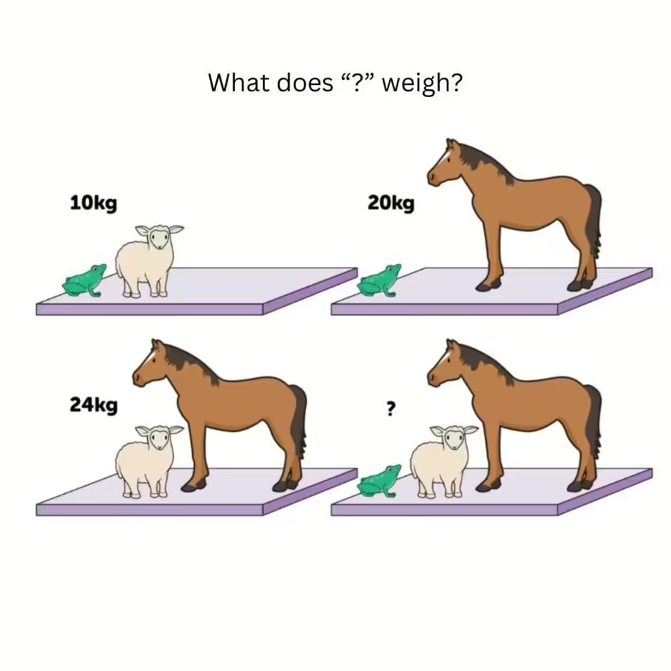 Test your mind: a ''simple'' math puzzle that will confuse anyone