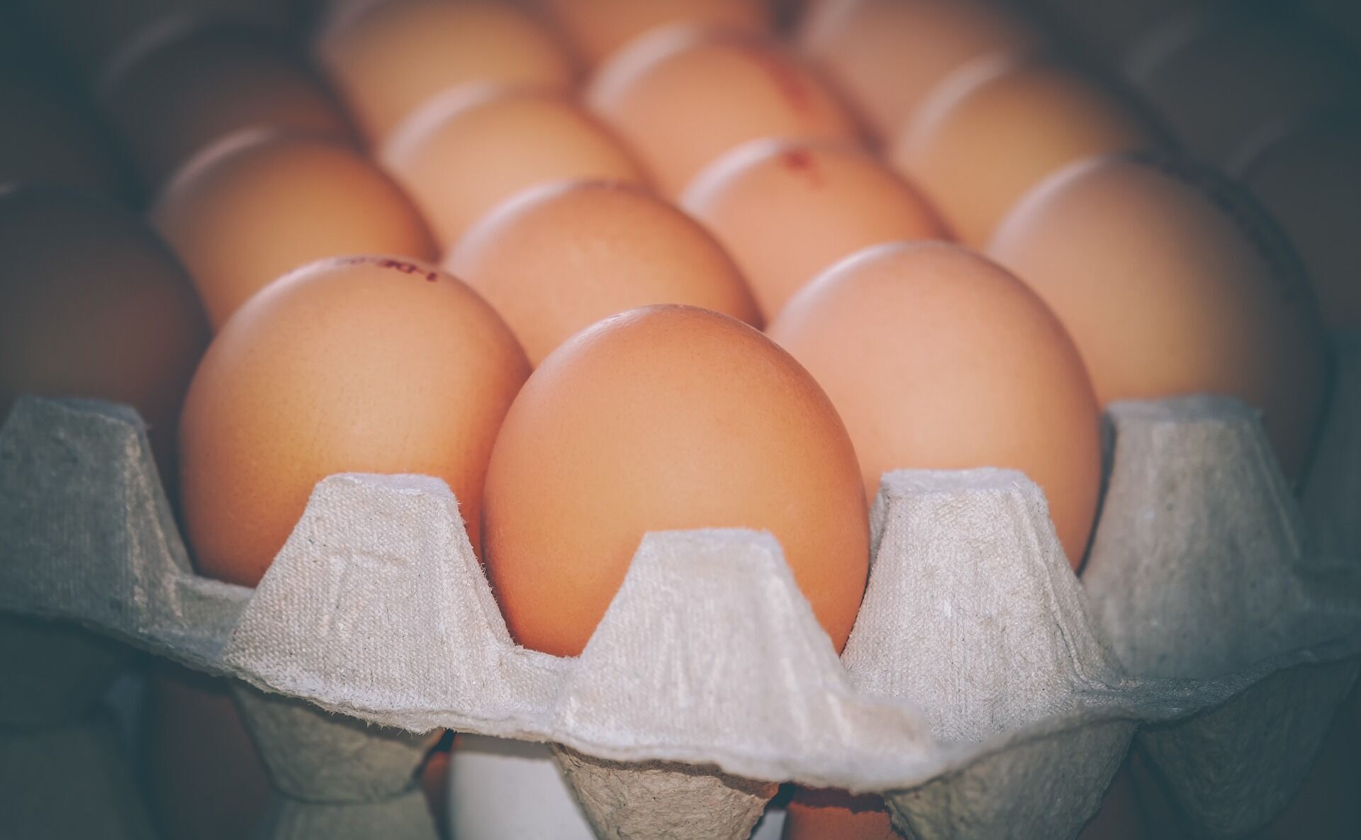 In Ukraine, eggs can almost double in price: when and how much will we pay