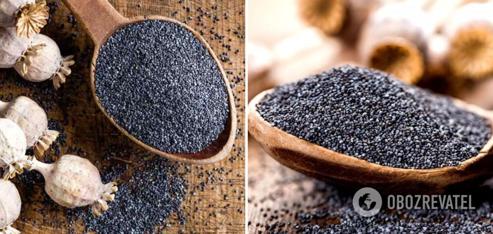 Poppy seeds that make jam taste better