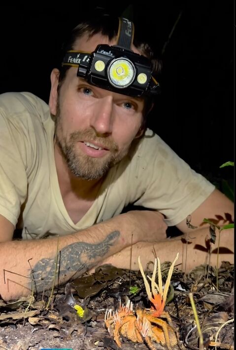 A researcher in the Amazon stumbled upon a dead tarantula infected with a 'zombie fungus'. Photo and video 18+