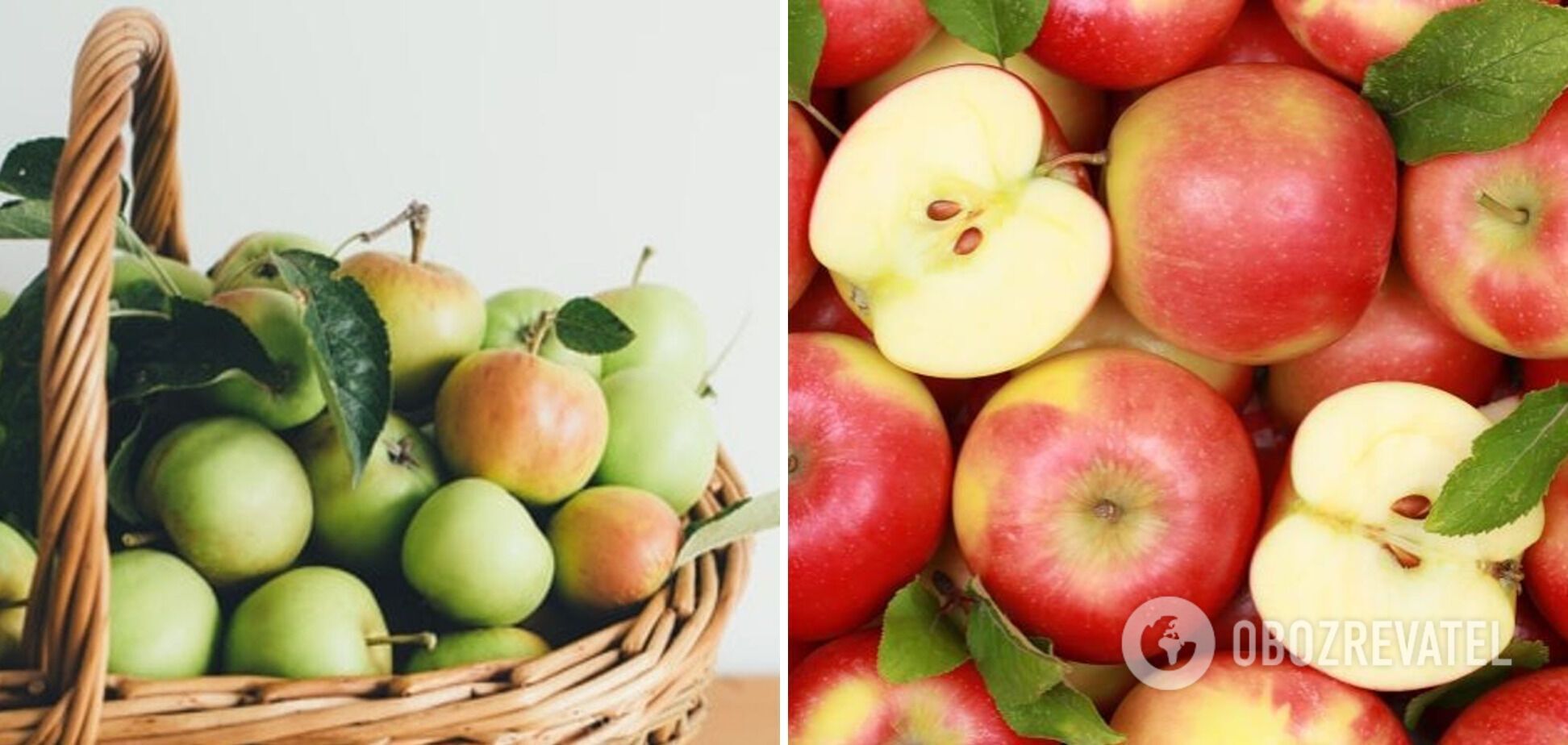 Apples with which you can make delicious jam