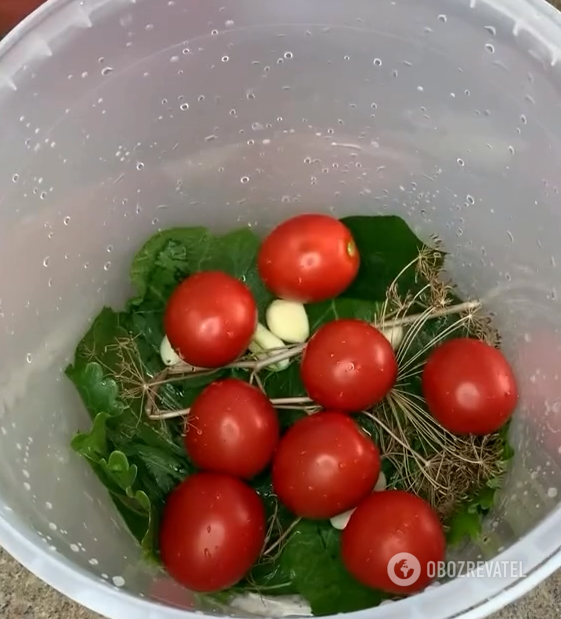 Sauerkraut tomatoes that can be eaten on New Year's Eve: the most delicious recipe