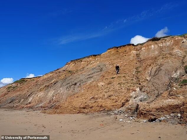 Scientists have found a new species of dinosaur the size of the American bison. Photo