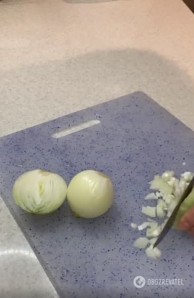 Chopping onions for a dish