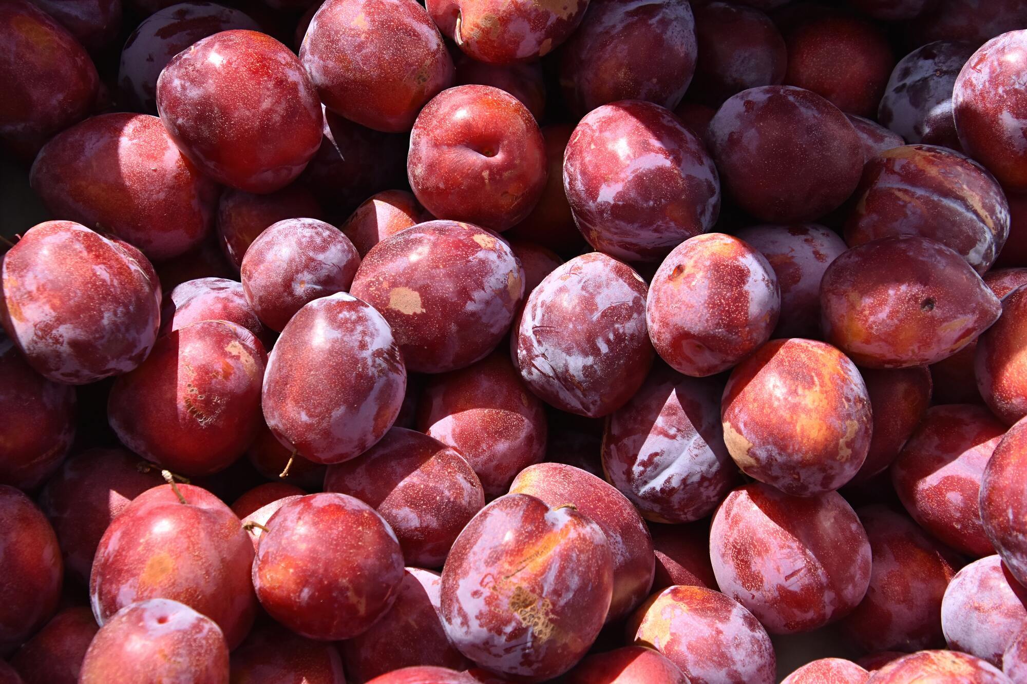 How to choose delicious plums