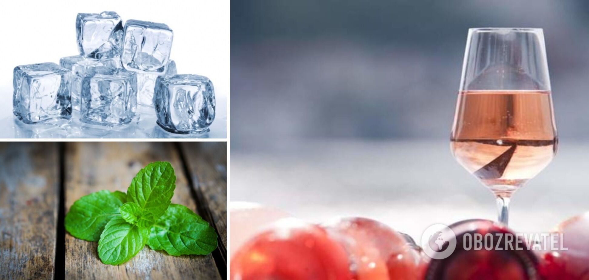 Ingredients for sangria – wine, ice, mint