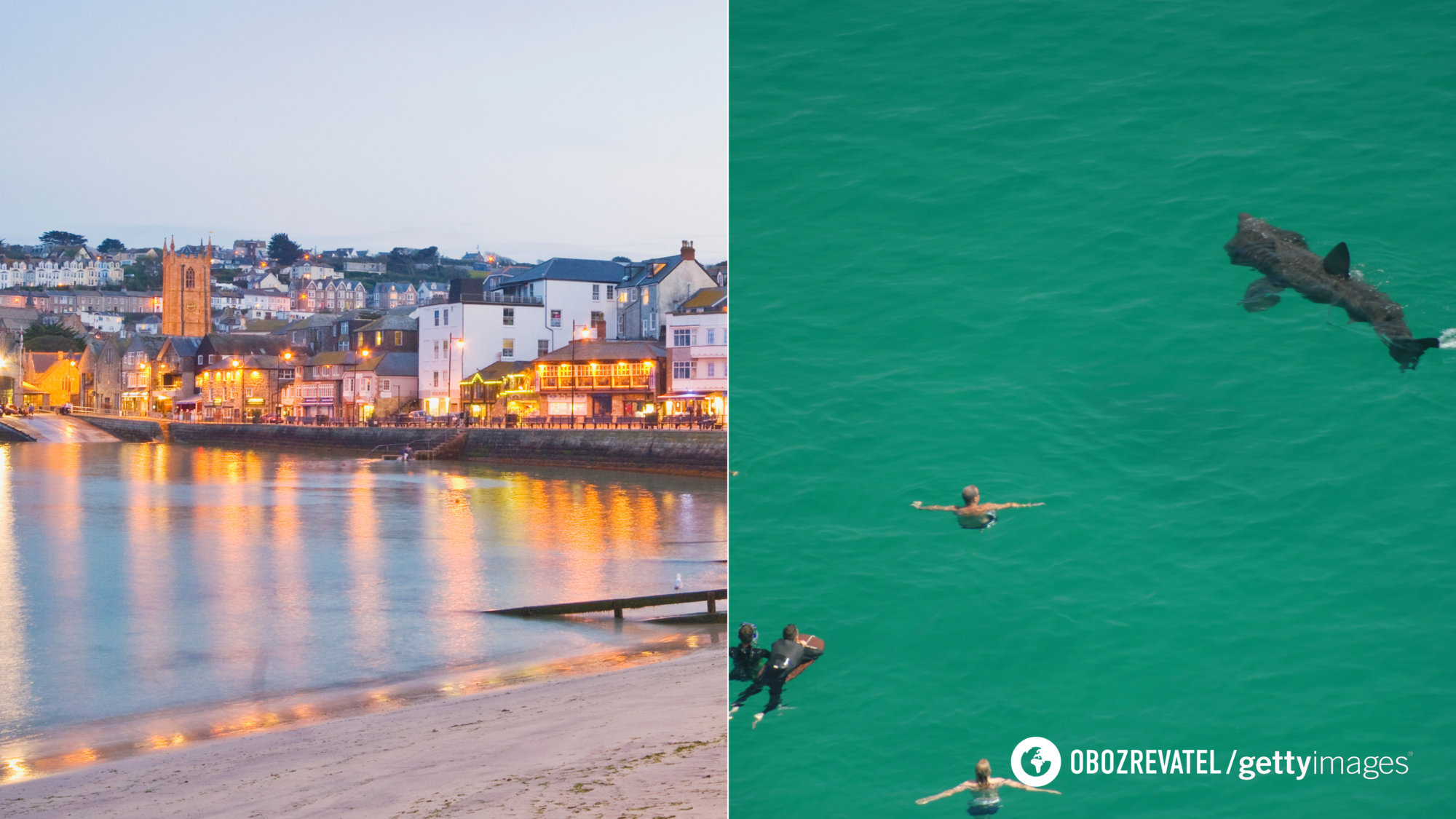 Like in the thriller movie Jaws. A three-meter shark caused panic at a resort in the UK: children ran out of the sea screaming