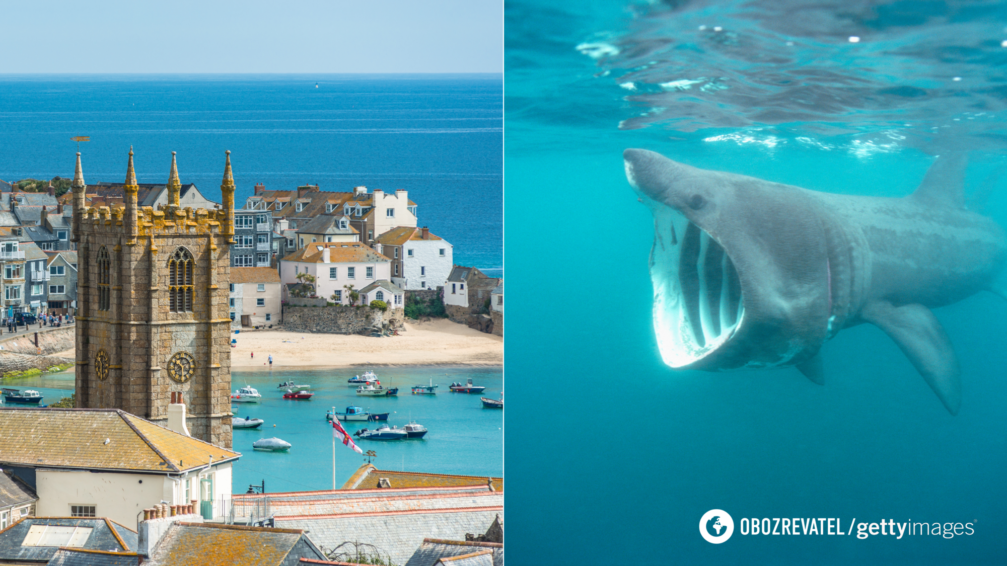 Like in the thriller movie Jaws. A three-meter shark caused panic at a resort in the UK: children ran out of the sea screaming